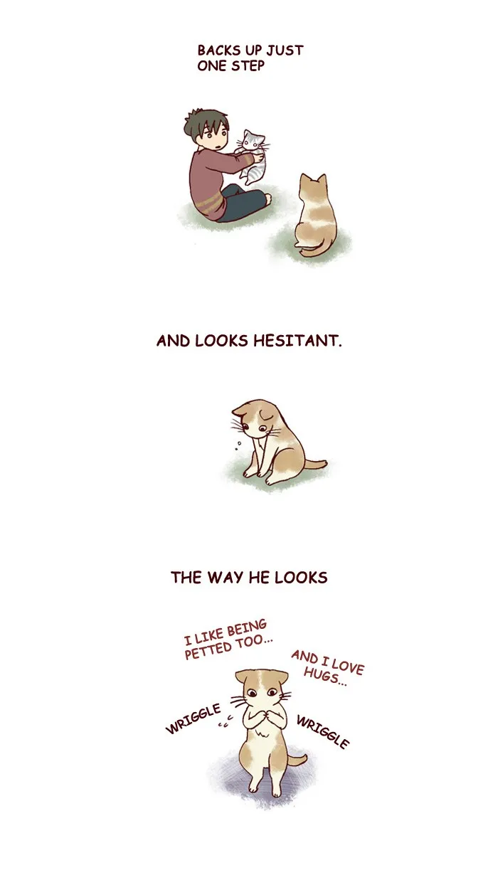 My Kitty and Old Dog Chapter 136 page 2 - 