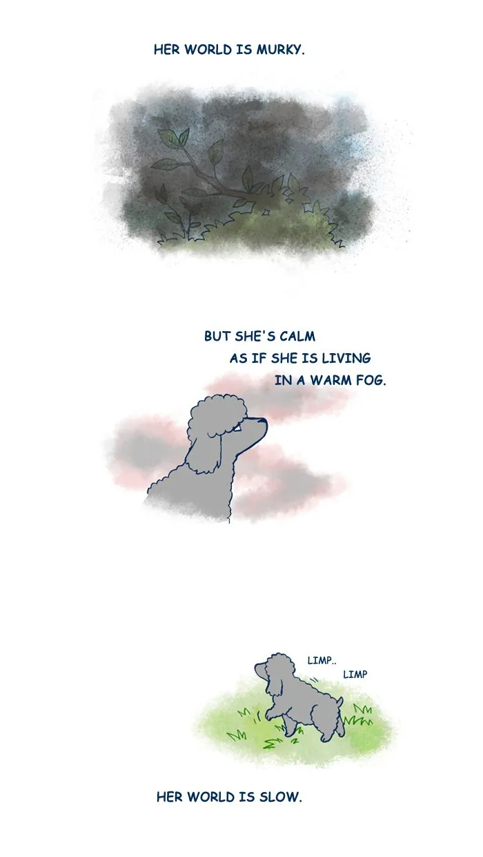 My Kitty and Old Dog Chapter 137 page 2 - 