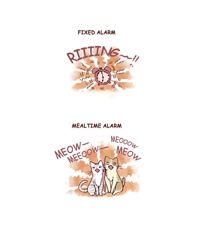 My Kitty and Old Dog Chapter 139 page 3 - 