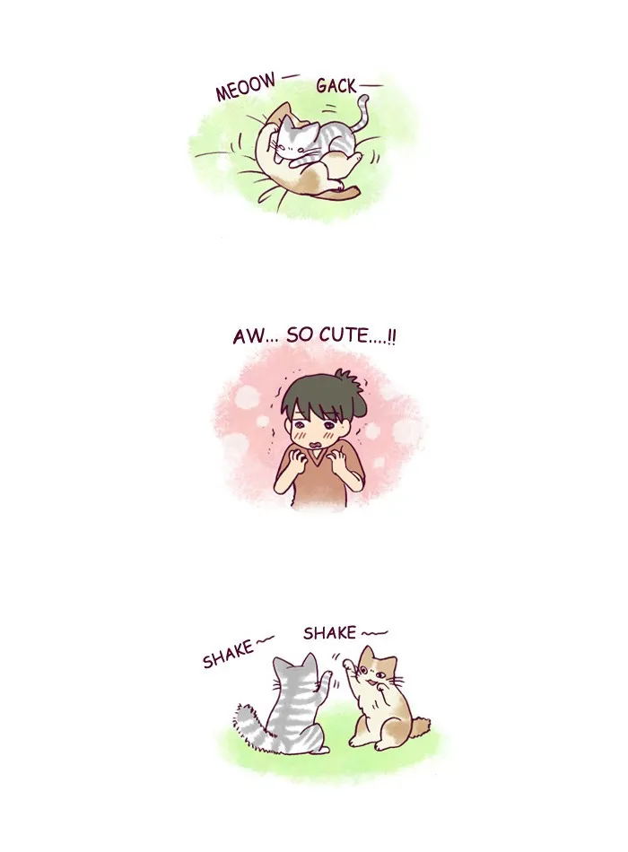 My Kitty and Old Dog Chapter 140 page 2 - 