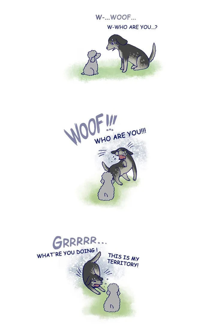 My Kitty and Old Dog Chapter 142 page 2 - 