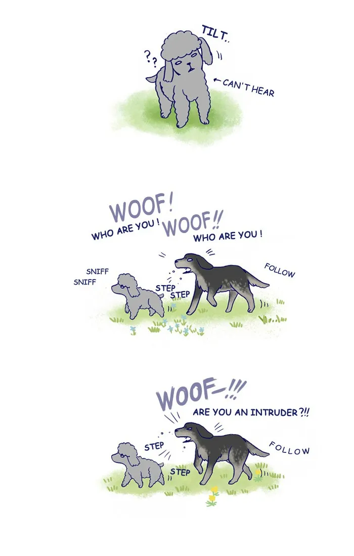 My Kitty and Old Dog Chapter 142 page 3 - 