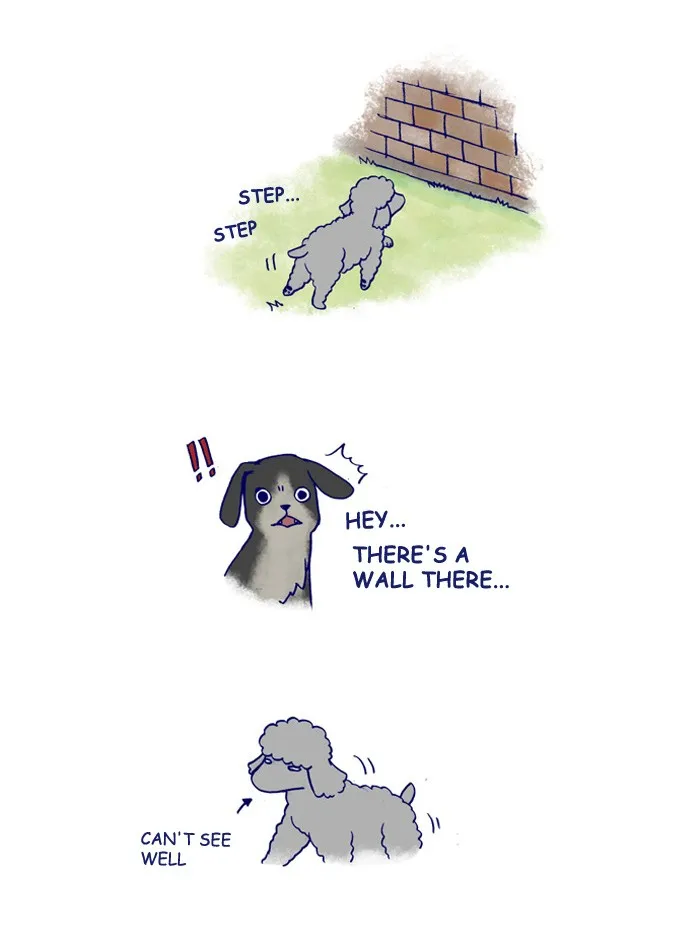 My Kitty and Old Dog Chapter 142 page 4 - 