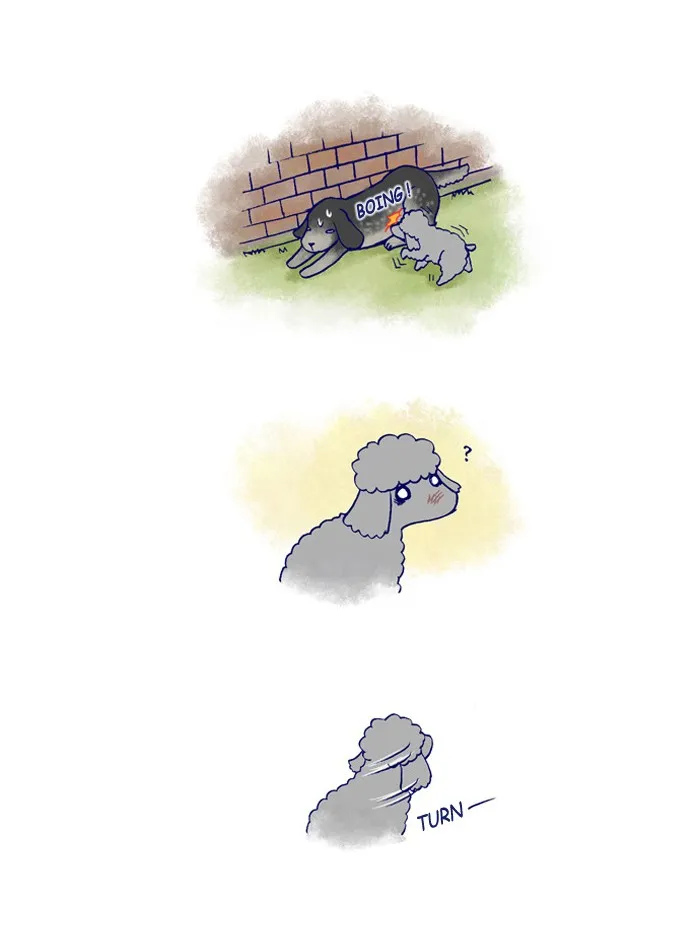 My Kitty and Old Dog Chapter 142 page 5 - 