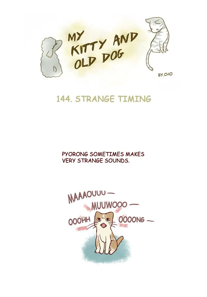 My Kitty and Old Dog Chapter 144 page 1 - 