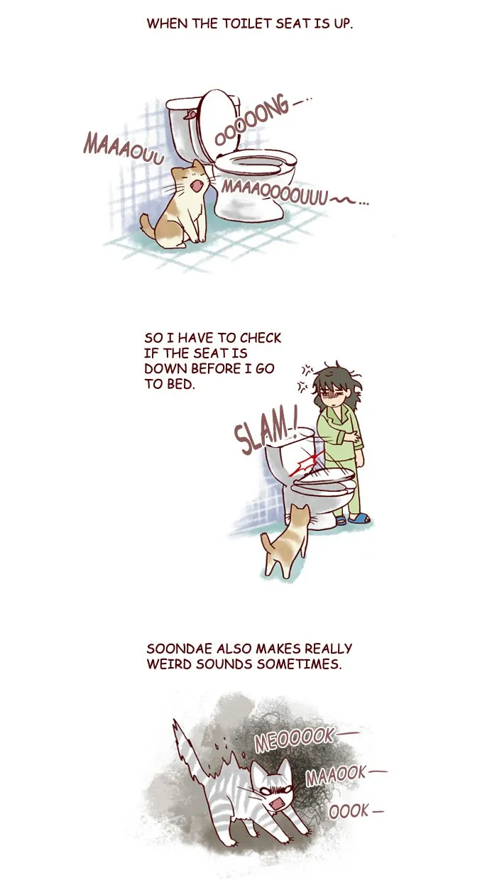 My Kitty and Old Dog Chapter 144 page 2 - 