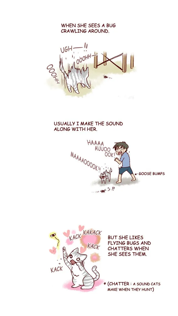 My Kitty and Old Dog Chapter 144 page 3 - 