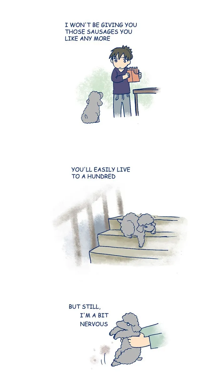 My Kitty and Old Dog Chapter 145 page 2 - 