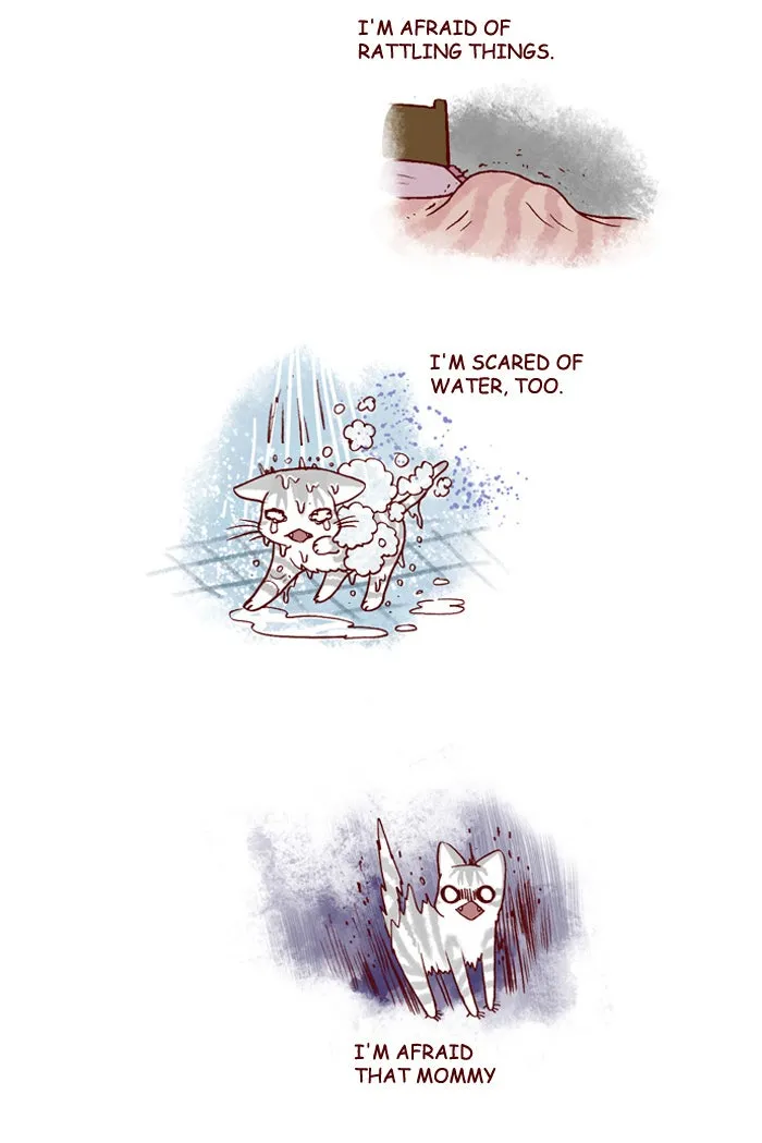 My Kitty and Old Dog Chapter 146 page 5 - 
