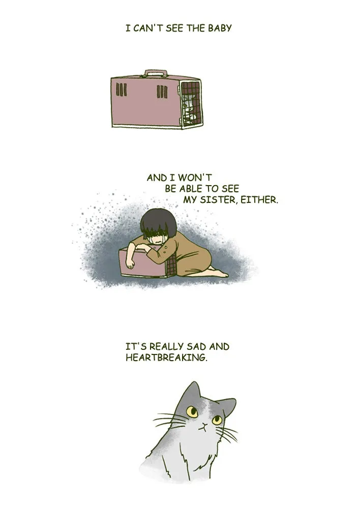 My Kitty and Old Dog Chapter 149 page 4 - 
