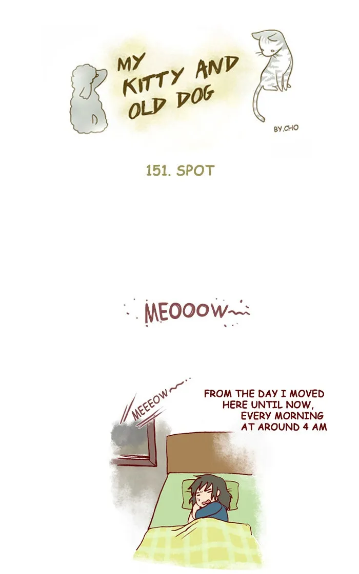 My Kitty and Old Dog Chapter 151 page 1 - 
