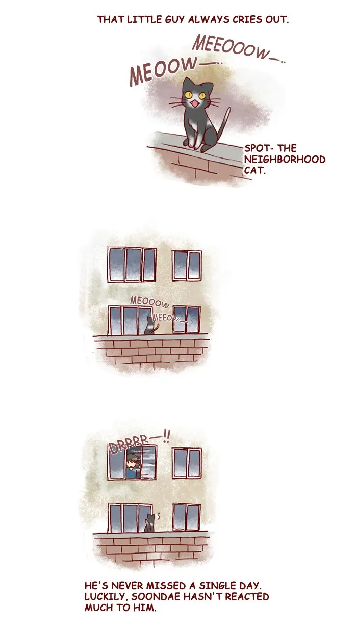 My Kitty and Old Dog Chapter 151 page 2 - 