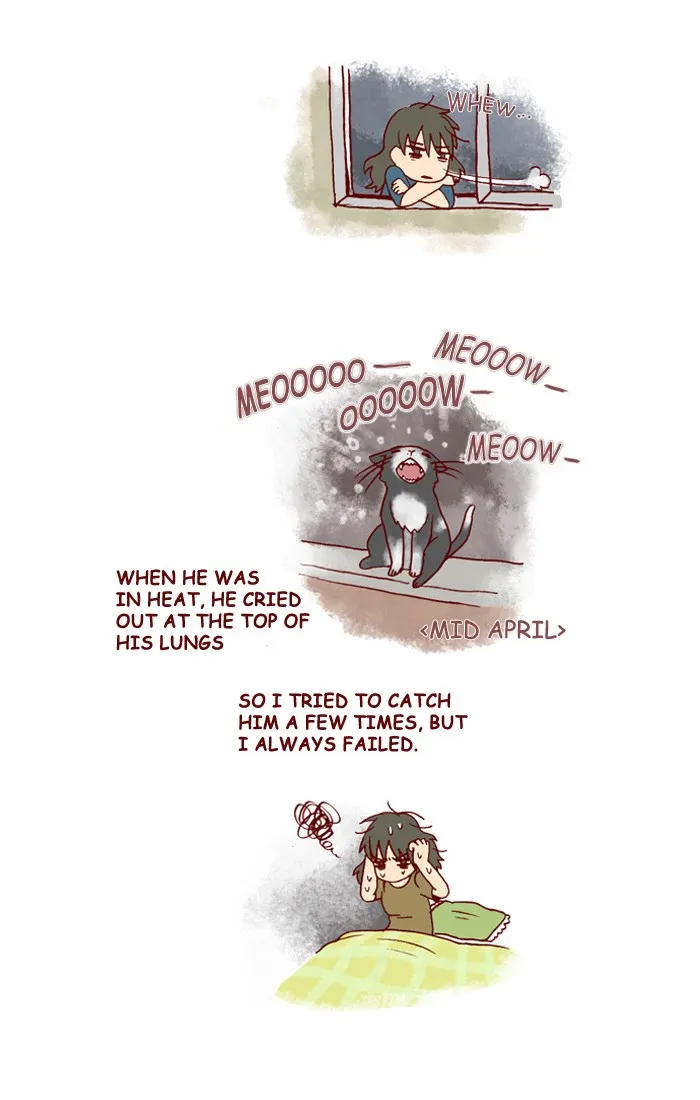 My Kitty and Old Dog Chapter 151 page 3 - 