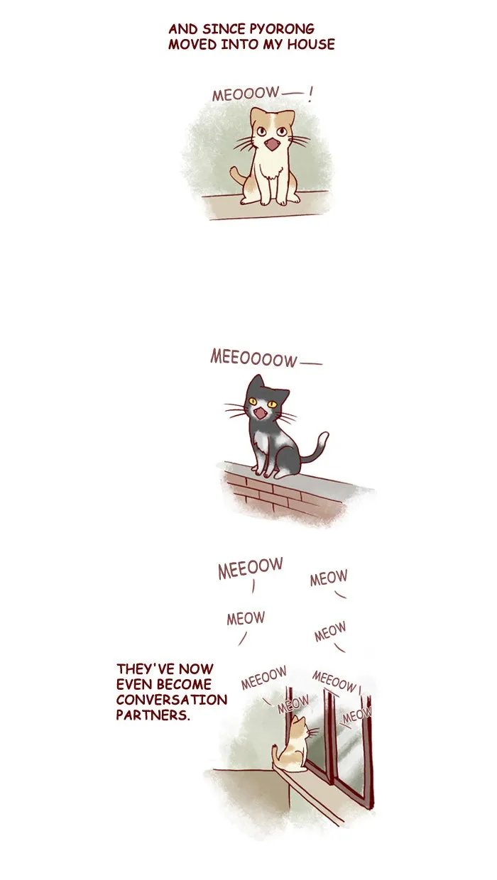 My Kitty and Old Dog Chapter 151 page 4 - 