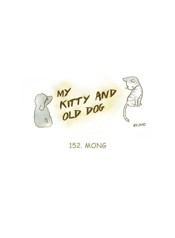 My Kitty and Old Dog Chapter 152 page 1 - 