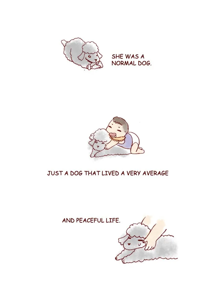 My Kitty and Old Dog Chapter 152 page 11 - 
