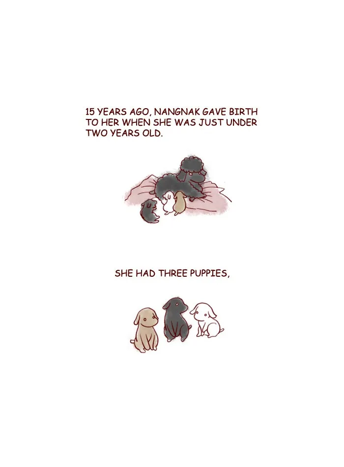 My Kitty and Old Dog Chapter 152 page 3 - 