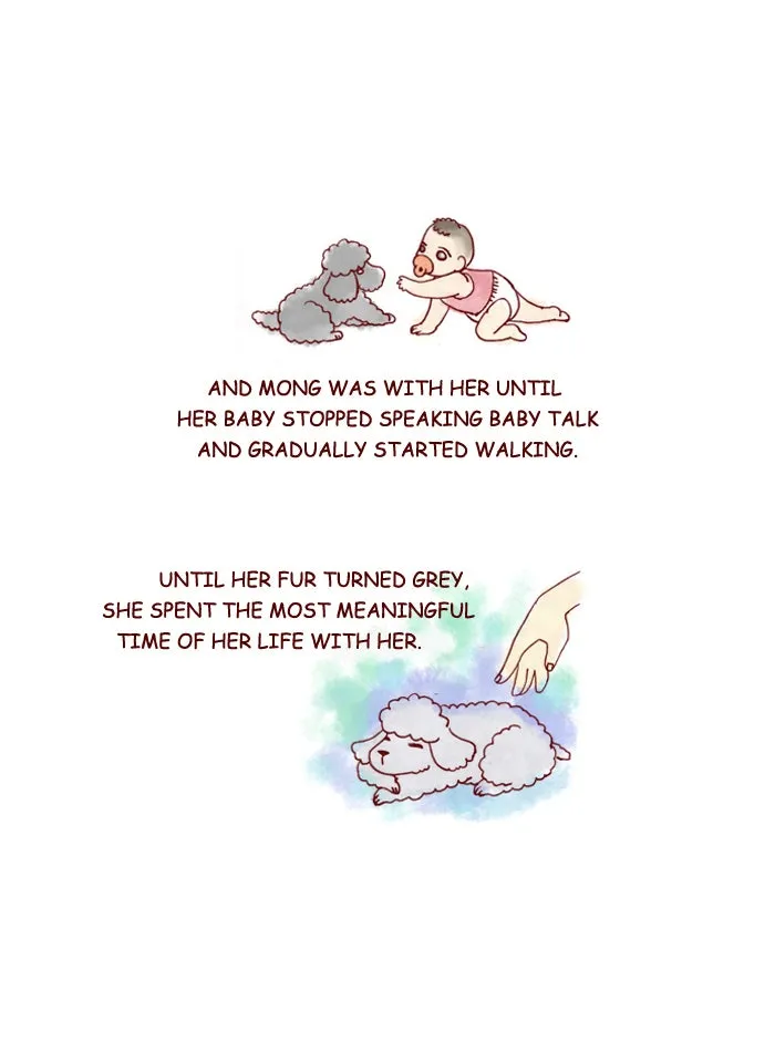 My Kitty and Old Dog Chapter 152 page 6 - 