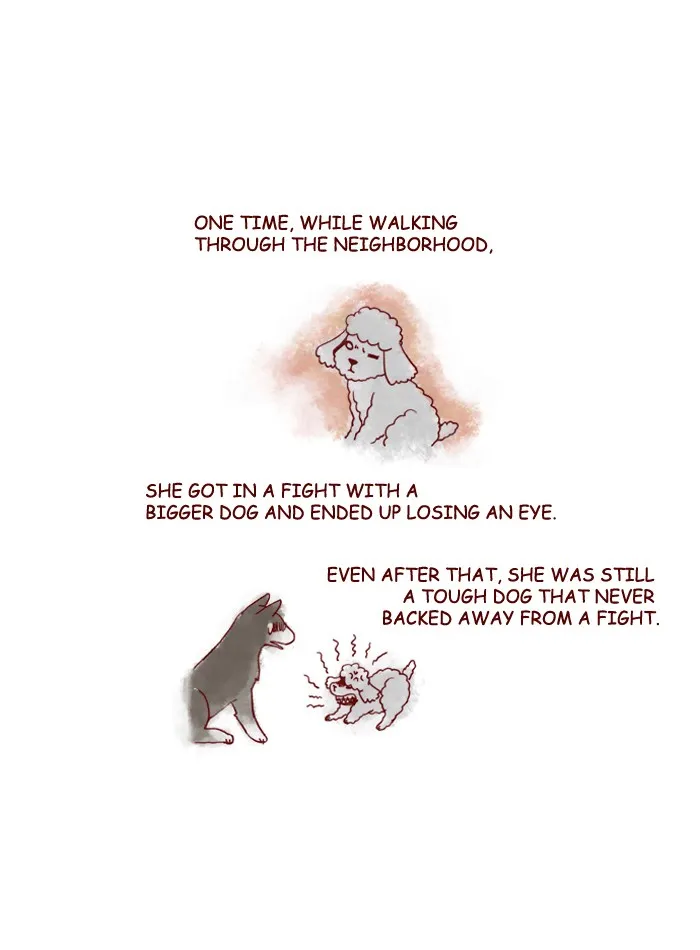 My Kitty and Old Dog Chapter 152 page 9 - 