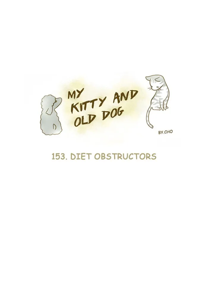 My Kitty and Old Dog Chapter 153 page 1 - 
