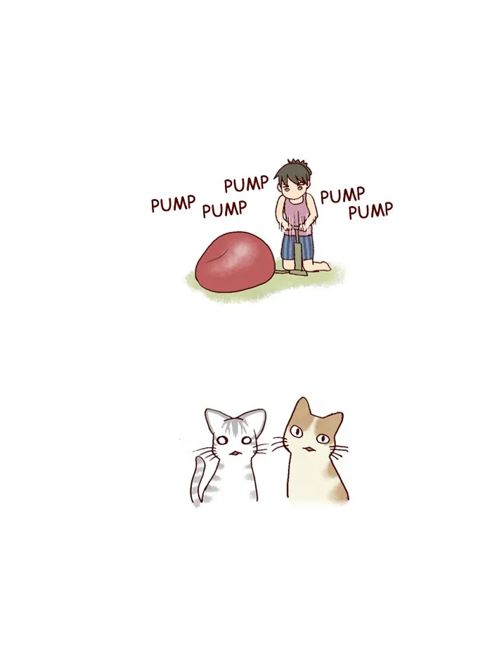 My Kitty and Old Dog Chapter 153 page 4 - 