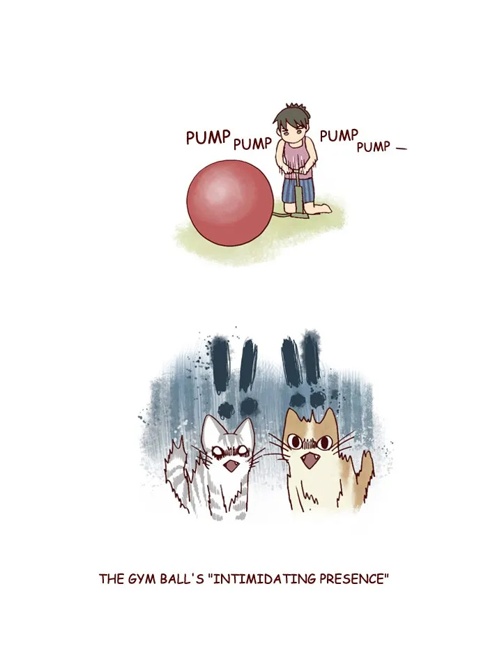 My Kitty and Old Dog Chapter 153 page 5 - 