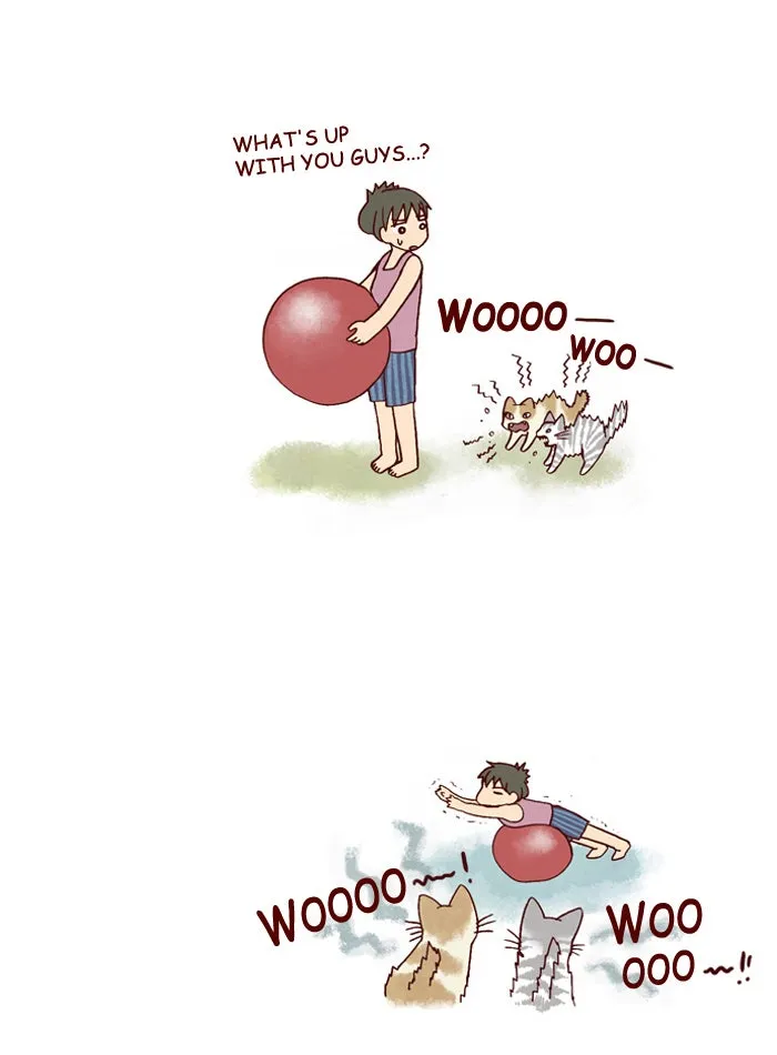 My Kitty and Old Dog Chapter 153 page 6 - 