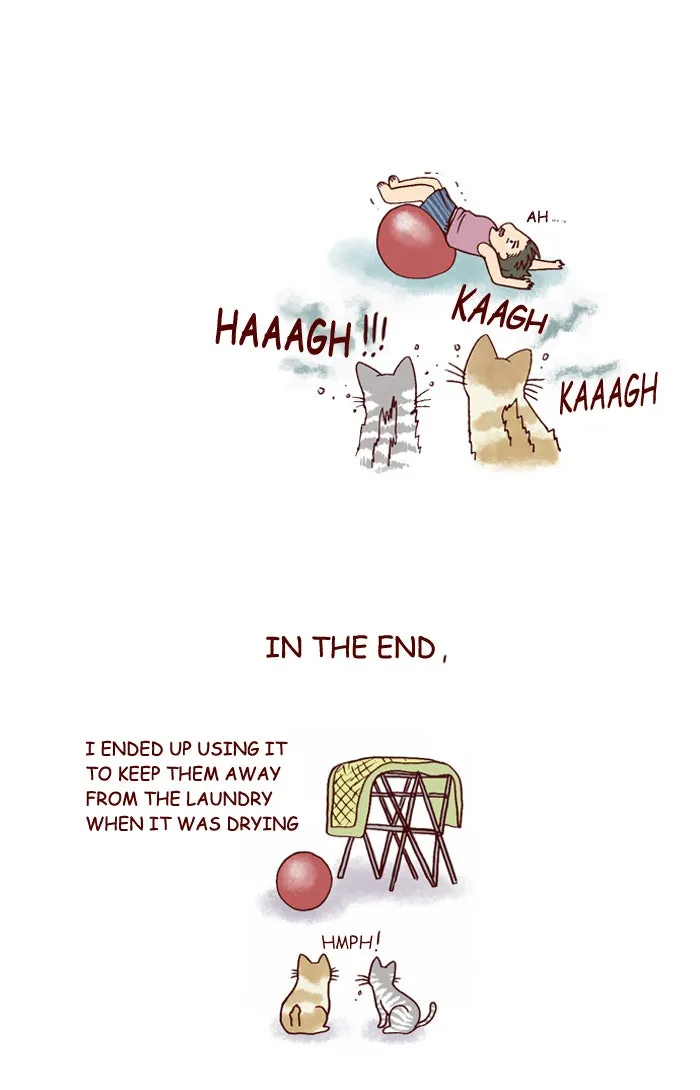 My Kitty and Old Dog Chapter 153 page 7 - 