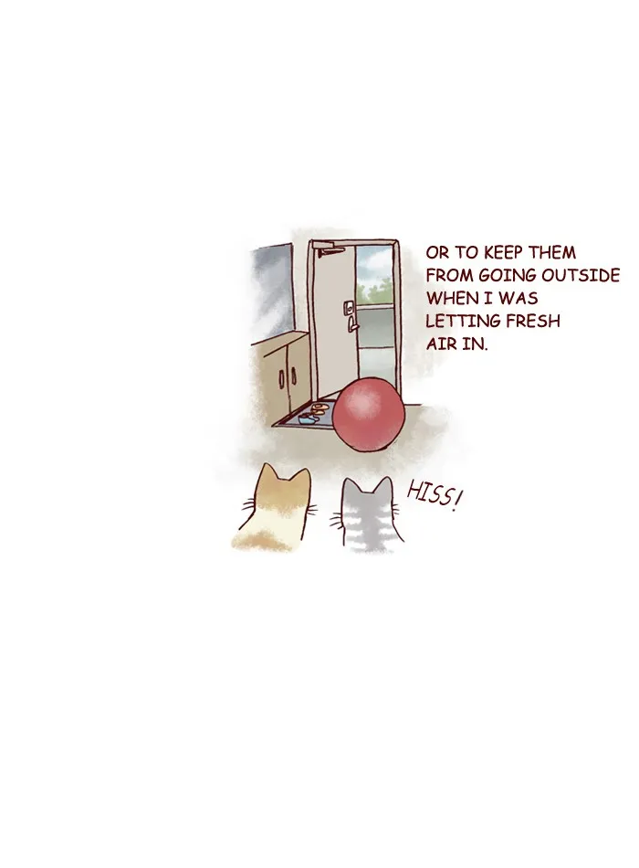 My Kitty and Old Dog Chapter 153 page 8 - 