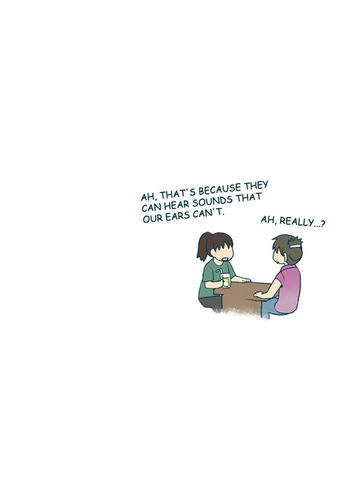 My Kitty and Old Dog Chapter 154 page 3 - 