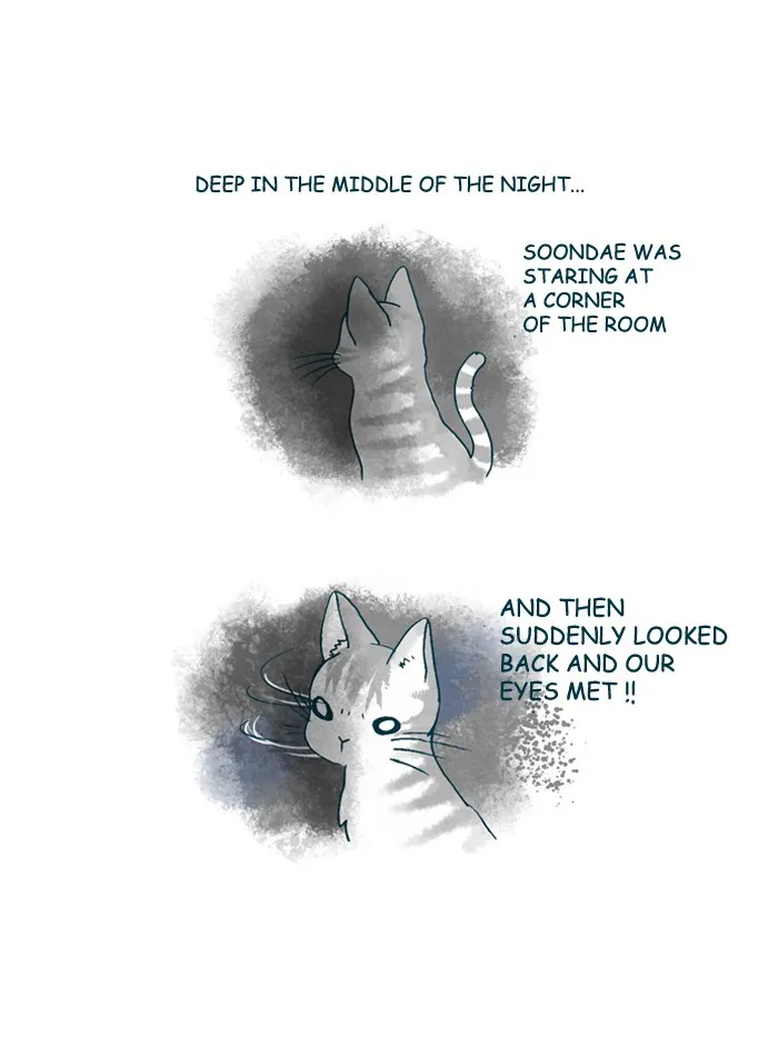 My Kitty and Old Dog Chapter 154 page 4 - 