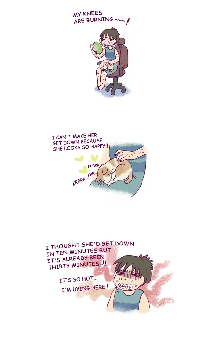 My Kitty and Old Dog Chapter 155 page 2 - 