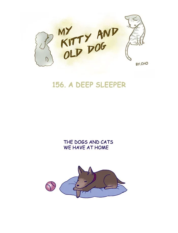 My Kitty and Old Dog Chapter 156 page 1 - 