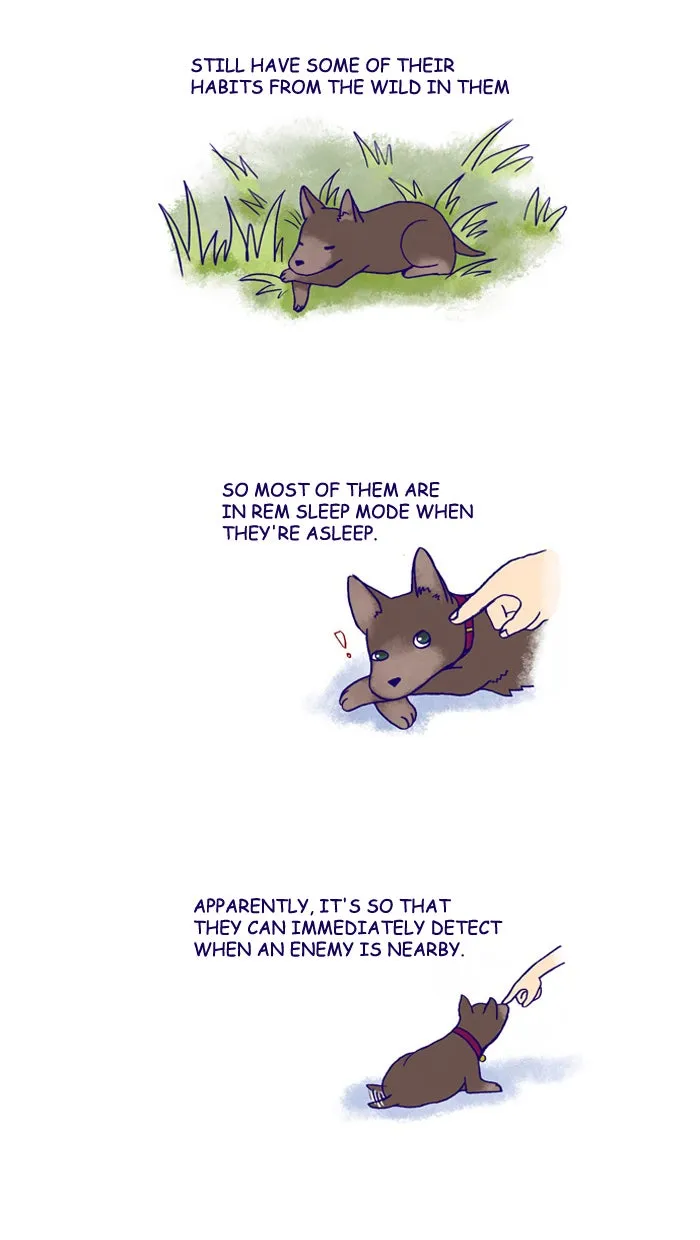 My Kitty and Old Dog Chapter 156 page 2 - 