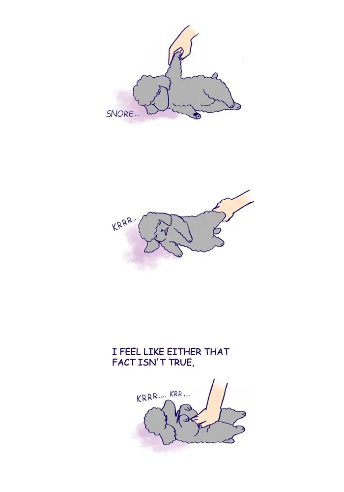 My Kitty and Old Dog Chapter 156 page 4 - 