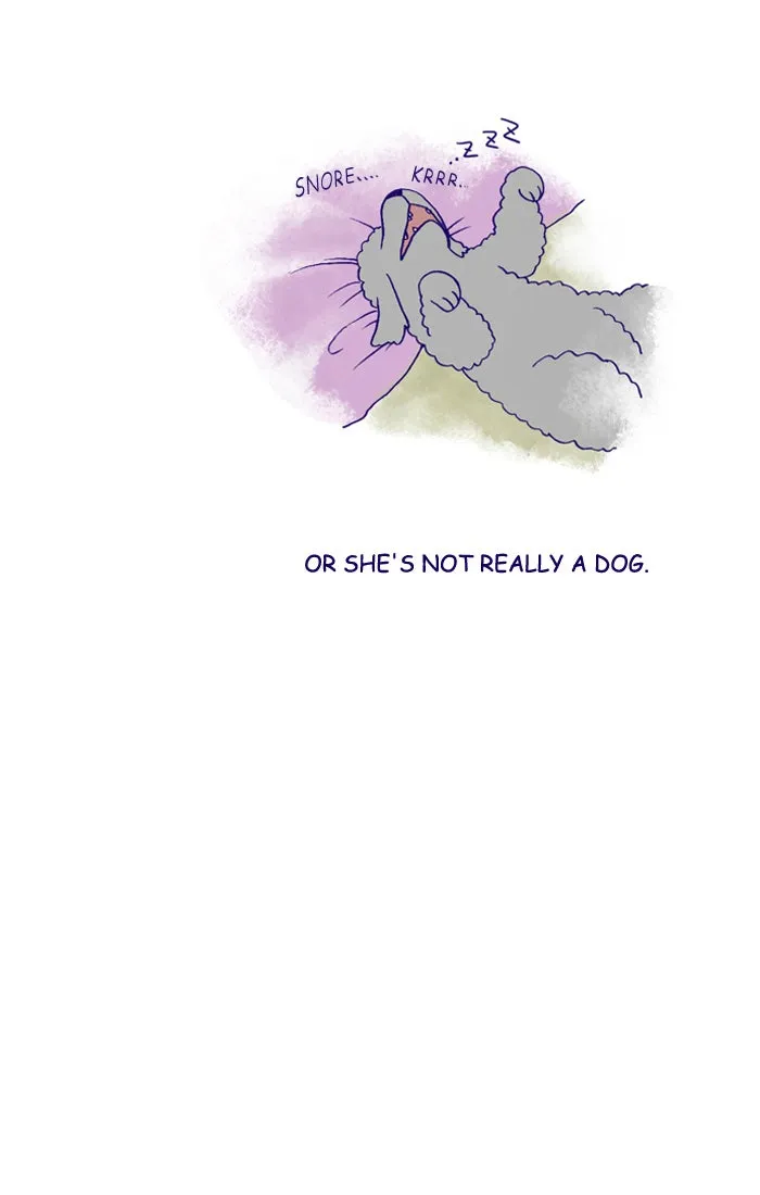 My Kitty and Old Dog Chapter 156 page 5 - 
