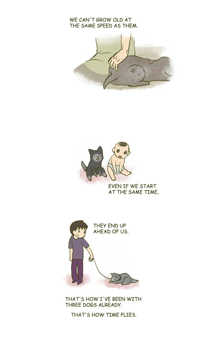 My Kitty and Old Dog Chapter 157 page 2 - 