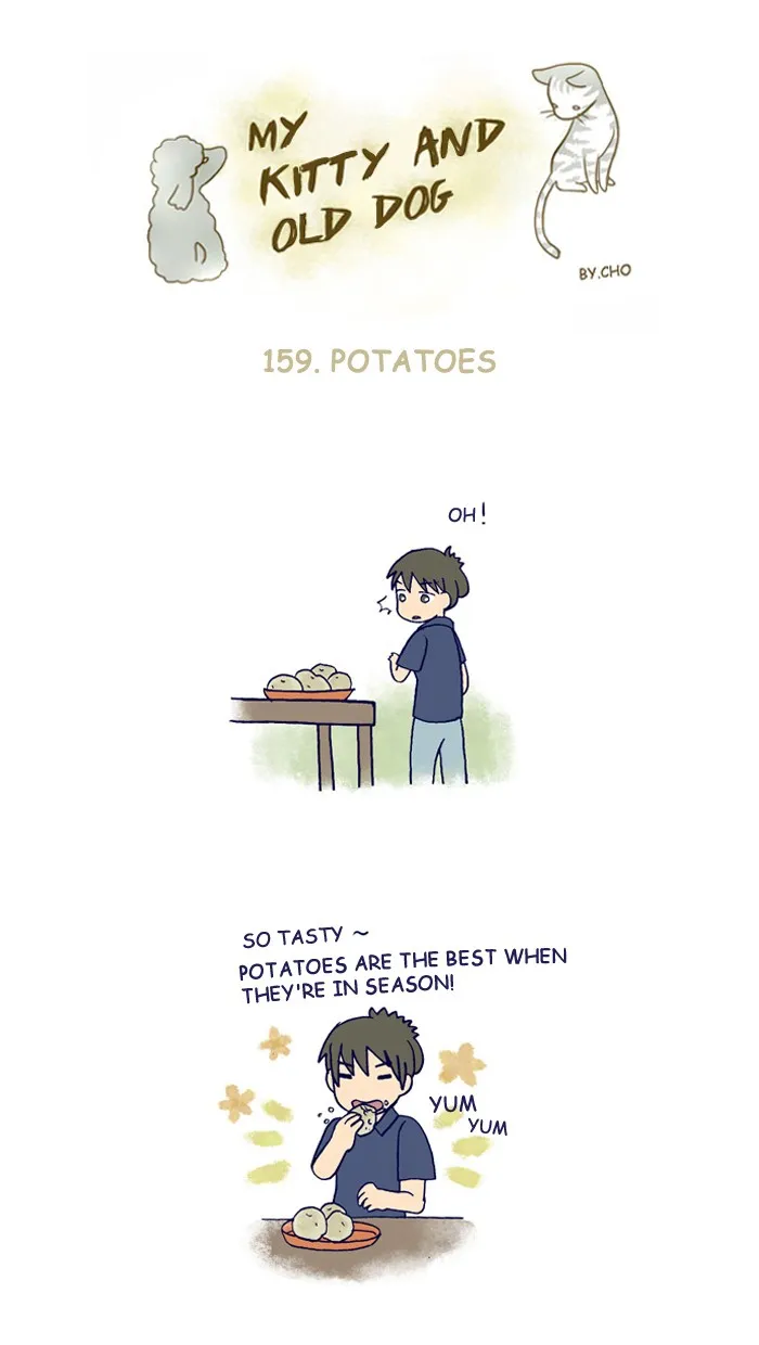 My Kitty and Old Dog Chapter 159 page 1 - 