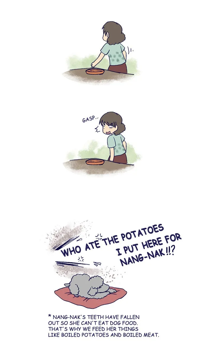 My Kitty and Old Dog Chapter 159 page 2 - 