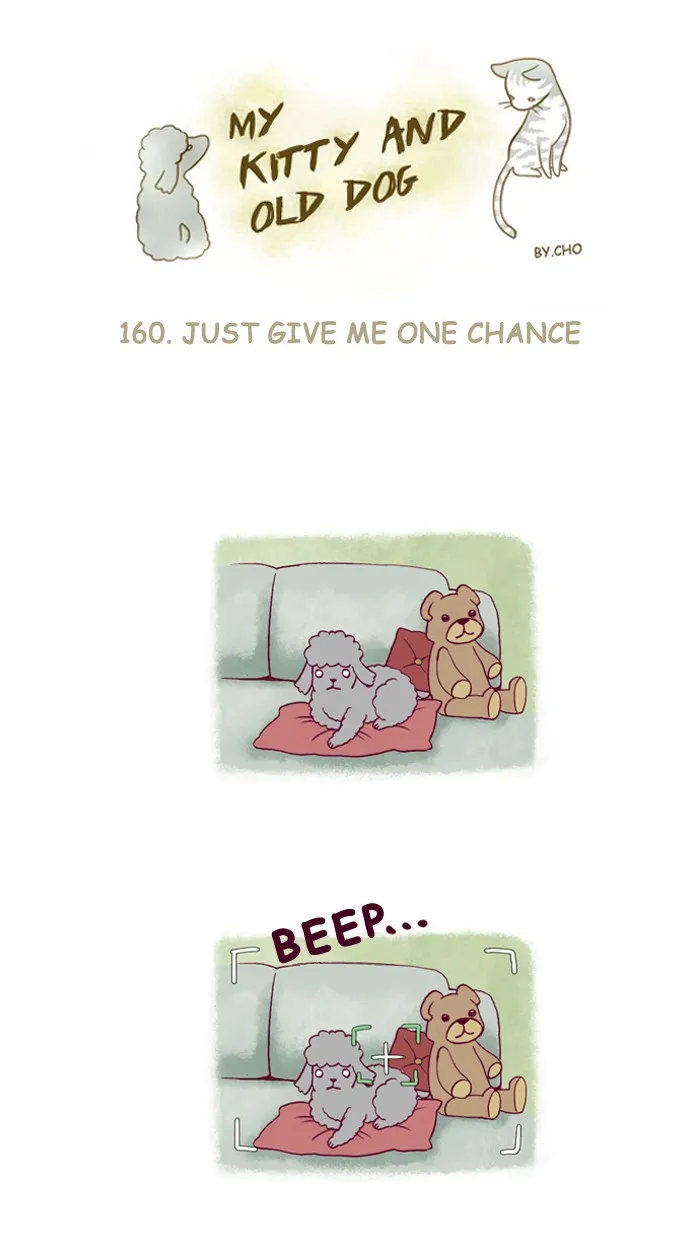 My Kitty and Old Dog Chapter 160 page 1 - 