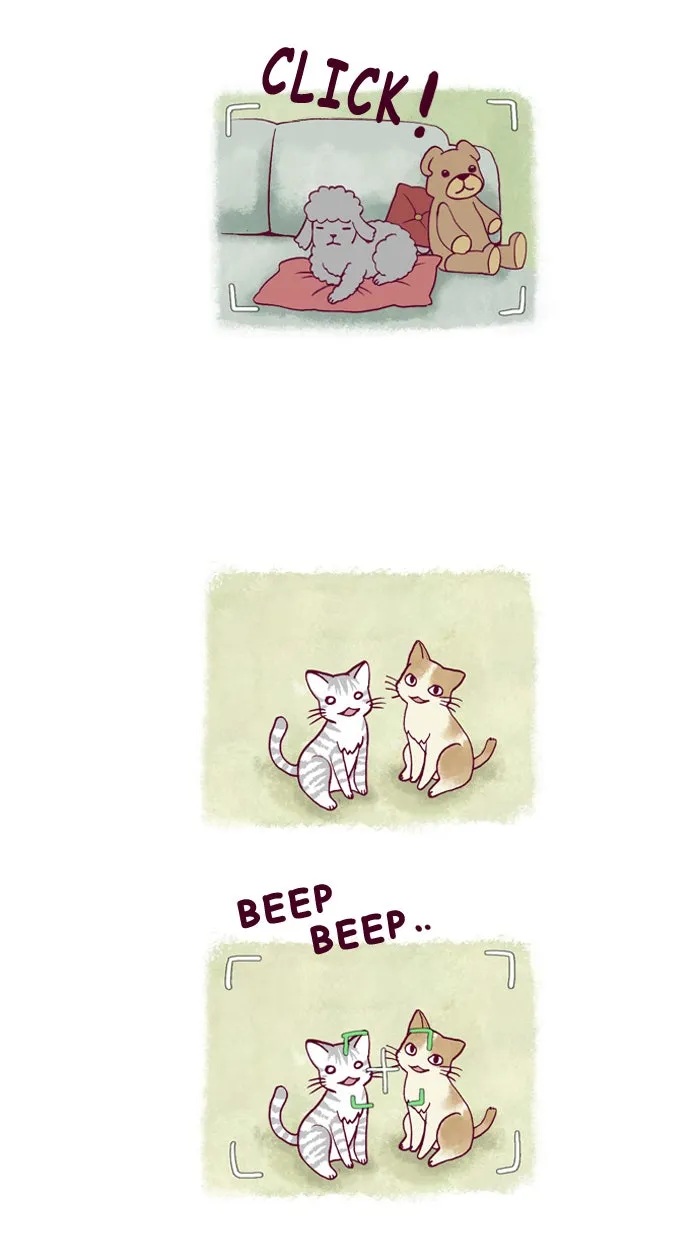 My Kitty and Old Dog Chapter 160 page 2 - 