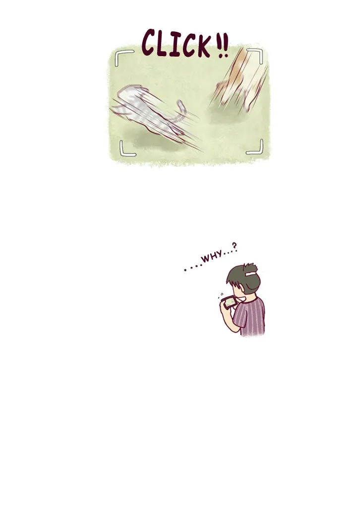 My Kitty and Old Dog Chapter 160 page 3 - 