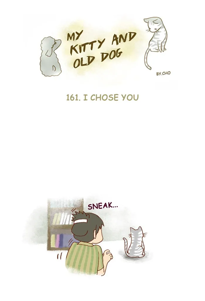 My Kitty and Old Dog Chapter 161 page 1 - 