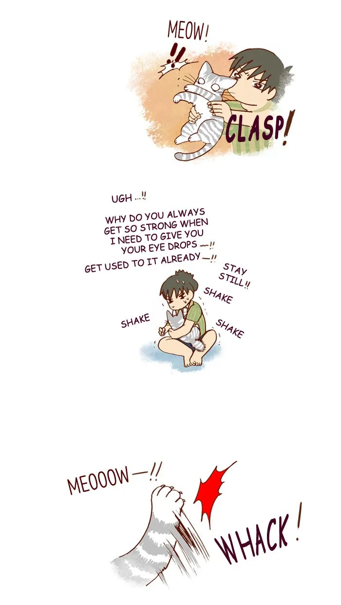 My Kitty and Old Dog Chapter 161 page 2 - 