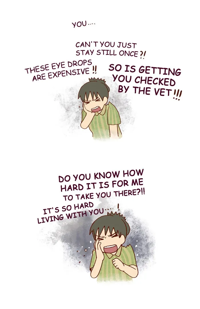 My Kitty and Old Dog Chapter 161 page 4 - 