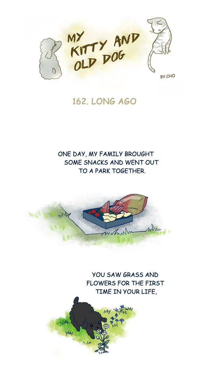 My Kitty and Old Dog Chapter 162 page 1 - 