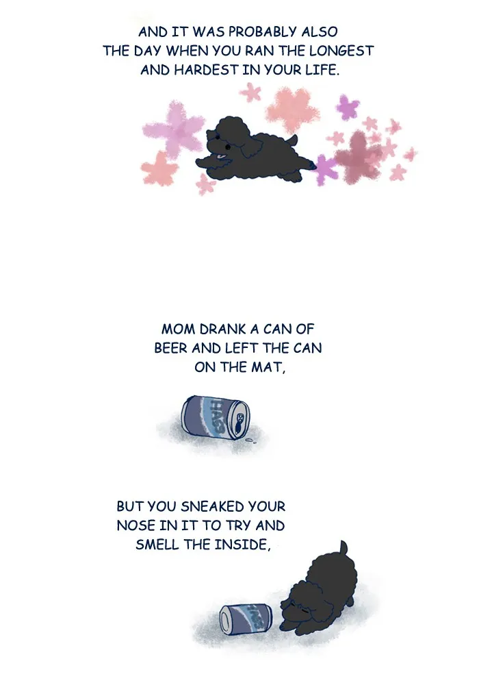 My Kitty and Old Dog Chapter 162 page 2 - 