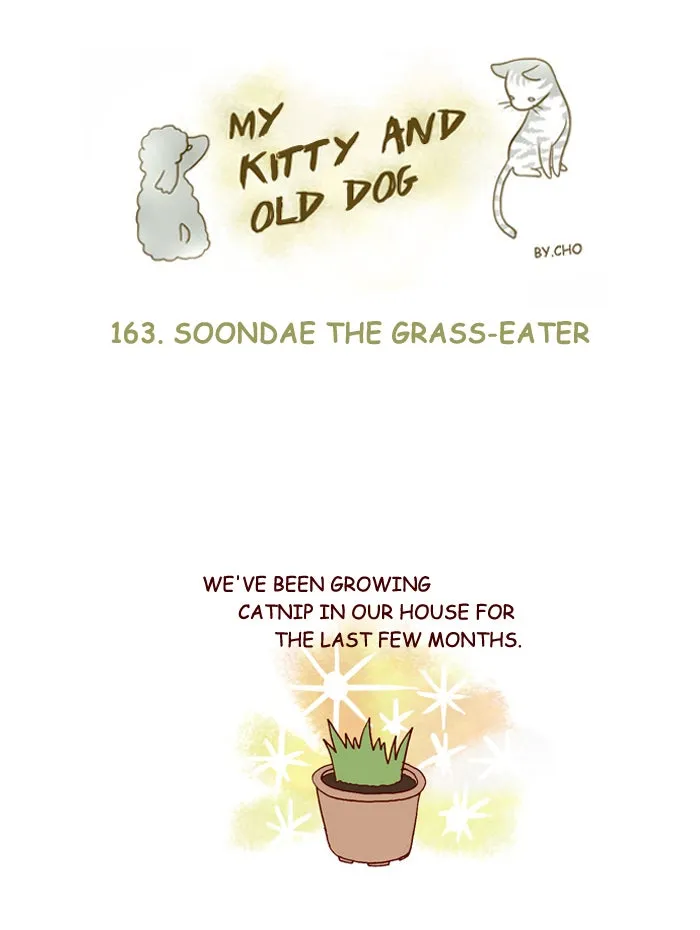My Kitty and Old Dog Chapter 163 page 1 - 