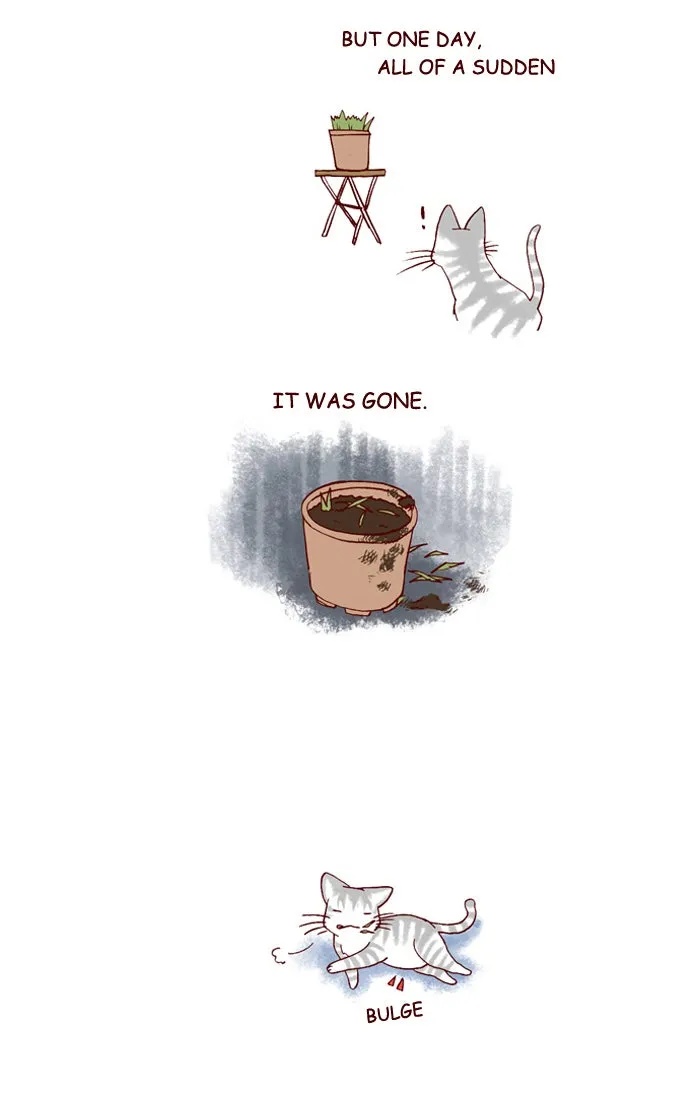 My Kitty and Old Dog Chapter 163 page 2 - 