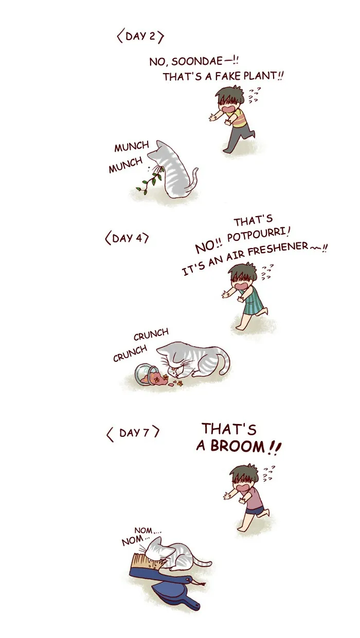 My Kitty and Old Dog Chapter 163 page 4 - 